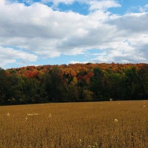 Meet your Posher, Keira